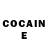 COCAIN Fish Scale Torn Cat
