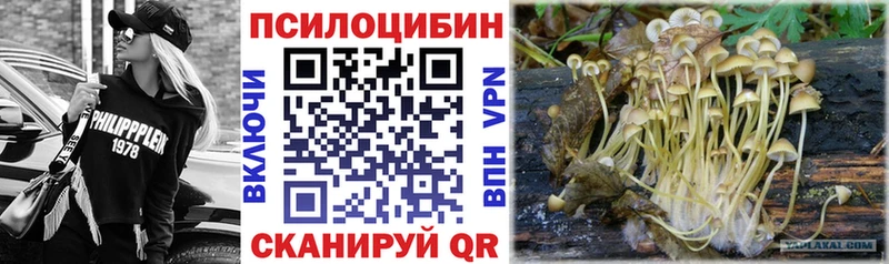 дарнет шоп  Печоры  Псилоцибиновые грибы MAGIC MUSHROOMS 